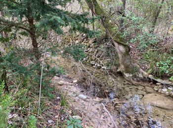 Tocht Stappen Mazaugues - Mazaugues vallon de l'herbette - Photo