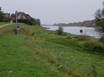 Tour Wandern Saint-Laurent-Nouan - bord de Loire Saint Laurent Nouan  le Cavereau - Photo