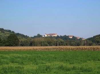 Tocht Te voet Kitzeck im Sausal - Heimschuher Runde Nord - Photo