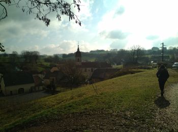 Randonnée Marche Montbozon - Montbozon 18 mars 2021  IBP 61  - Photo