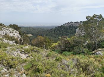 Tour Wandern Narbonne - L'hospitalet La clape  - Photo