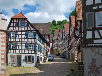 Tocht Te voet Loßburg - Loßburg - Schiltach - Photo