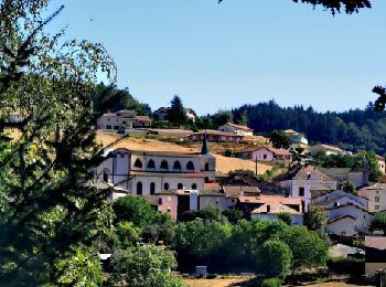 Tour Wandern Saint-Igny-de-Vers - 9618600-ST IGNY DE VERS ST IGNY DE VERS 12 KM - Photo