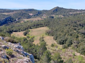 Trail Walking Villespassans - Assignan : garrigue et causses  - Photo