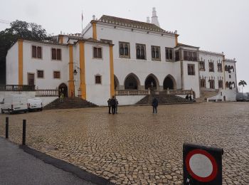 Trail On foot Sintra - Castelo - Photo