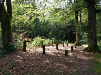 Tocht Stappen Champagney - parcours sportif des Épaisses à Champagney - Photo