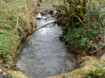 Randonnée Marche Ayherre - Ayherre bois - Photo