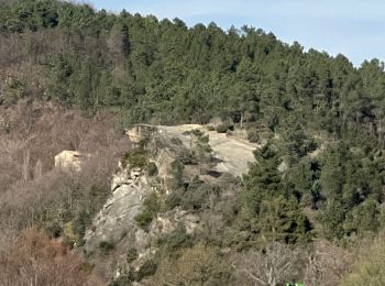 Excursión Senderismo Coux - Coux la Jaubernie  - Photo