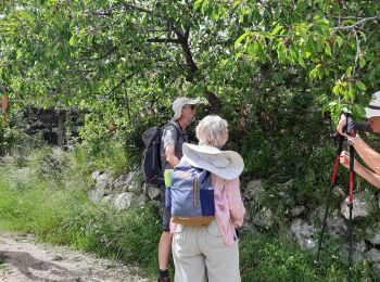 Tocht Stappen Gourdon - colle de rougięs - Photo