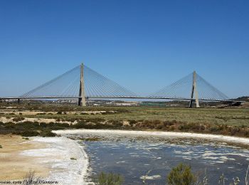 Excursión A pie Castro Marim - Sapal de Venta Moinhos - Photo