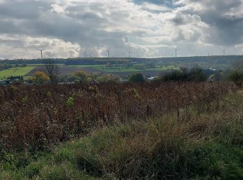 Trail Walking Fosses-la-Ville - Vitrival 181022 - Photo