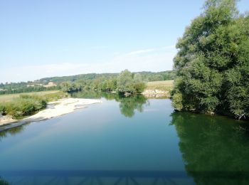 Tocht Mountainbike Laneuville-sur-Meuse - 55 Laneuville Martincourt prairies et retour canal  - Photo