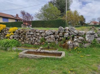 Excursión Senderismo Merle-Leignec - le chemin delà poix - Photo