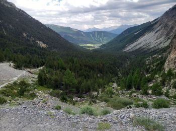 Trail Walking Arvieux - Clapeyto - Photo