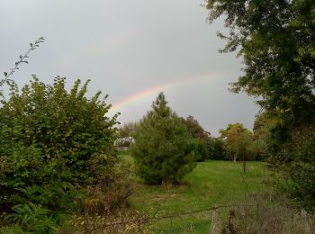 Tocht Stappen Montaut - Bournel 22km - Photo