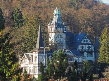 Tocht Te voet Harz (LK Goslar) - HK 7: Bad Grund - Okertal - Bad Harzburg - Photo