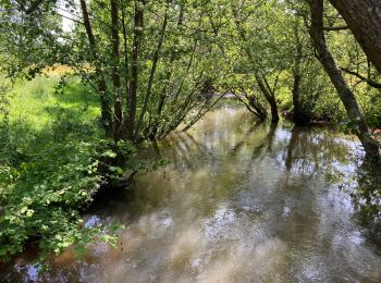 Randonnée Marche Le Vast - Le long de la vallée de la Sairre - Photo