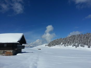 Trail On foot St. Lorenzen - San Lorenzo di Sebato - IT-67 - Photo