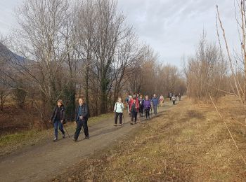 Excursión Marcha nórdica Sassenage - MN Sassenage Circuit 9-10 km - Photo