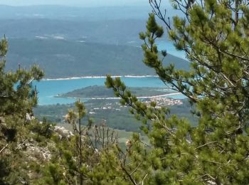 Trail Nordic walking La Palud-sur-Verdon - La Palud falaises sud - Photo