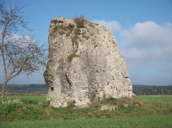 Excursión A pie Pilsach - Kreuz- und Felsenweg - Photo