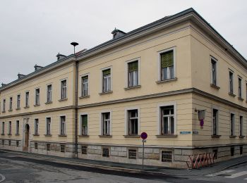 Tour Zu Fuß Stainz - Rundwanderweg 6 - Photo