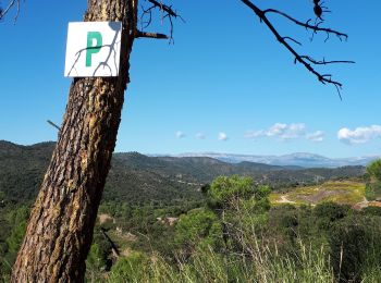 Tocht Mountainbike Saint-Raphaël - Peïre Sarade - Arcs Sénéquier et retour - Photo