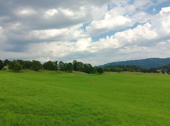 Randonnée Marche Lajoux - Le crêt de la vigoureuse (le vrai) - Photo