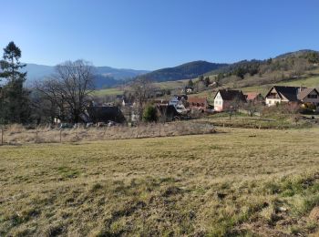 Trail Walking Munster - Munster Haslach - Photo