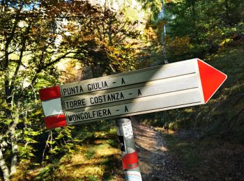 Percorso A piedi Mandello del Lario - Sentiero delle Foppe - Photo