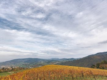 Tour Zu Fuß Vezzano sul Crostolo - Bettola - Casa Cuccagna - Casa di Casino - Riolo - Prediera - Case Schiavino - Casa Monteduro - Bettola - Photo