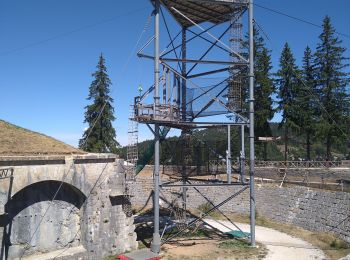 Excursión Senderismo Les Rousses - Les Rousses  - Photo