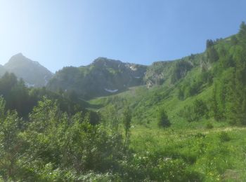 Excursión Senderismo La Chapelle-d'Abondance - mont Pertuis - Photo