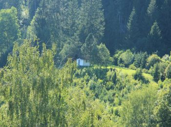 Randonnée A pied Gemeinde Sankt Aegyd am Neuwalde - Wanderweg 33 - Photo