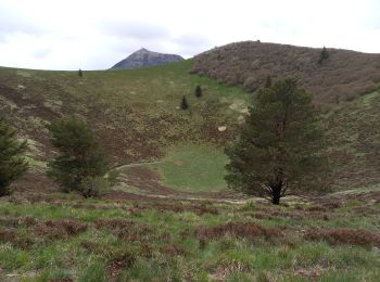 Excursión Senderismo Orcines - Puys de Dôme et Pariou 6.5.24 - Photo