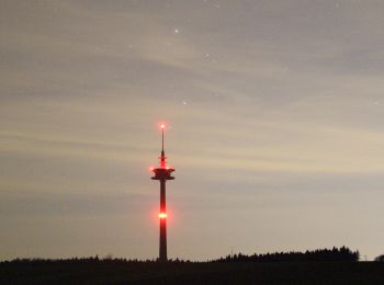 Randonnée A pied Miltenberg - Haags-Aussicht-Weg - Photo