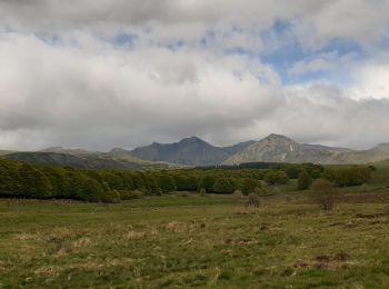 Trail Walking Picherande - La fontaine salée  - Photo