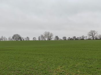 Tour Wandern Boutersem - S-GR Hageland: Vertrijk - Tienen - Photo