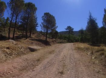 Tocht Mountainbike Saint-Raphaël - activity_9082592241 - Photo