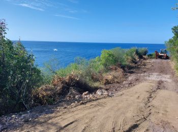 Randonnée Marche Bouillante - Chemin Pte Quesy - Photo