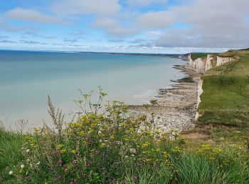 Trail Walking Mers-les-Bains - Mers les bains - Bois de Cise 10/08/2021 - Photo