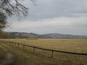 Excursión A pie Sennfeld - Igel-Weg - Photo