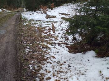 Percorso Marcia Bonnevaux - bonnevaux  (près Frasne) - Photo