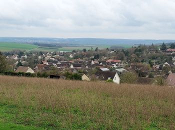 Randonnée Marche Sergines - Sergines 240303 - Photo