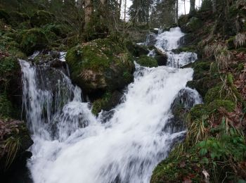 Tour Wandern Neuweiler - Neuviller La Roche Cascade de la Serva - Photo