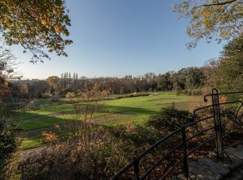 Tocht Stappen Jette - Jardins du fleuriste - Photo