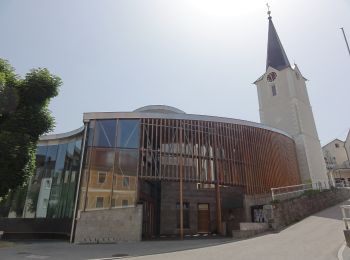 Tour Zu Fuß Gallspach - Zeileisweg - Photo