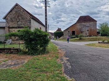 Randonnée Marche Puy-d'Arnac - puy d'arnac - Photo