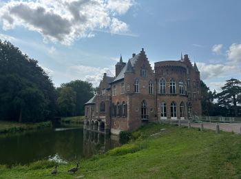 Trail Walking Kruibeke - kruibeekse_kreek_wandelroute 2 - Photo