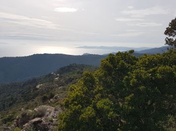 Randonnée Marche Cavalaire-sur-Mer - LES TERRASSES DE CAVALAIRE - MONTJEAN ET LES PRADELS - Photo